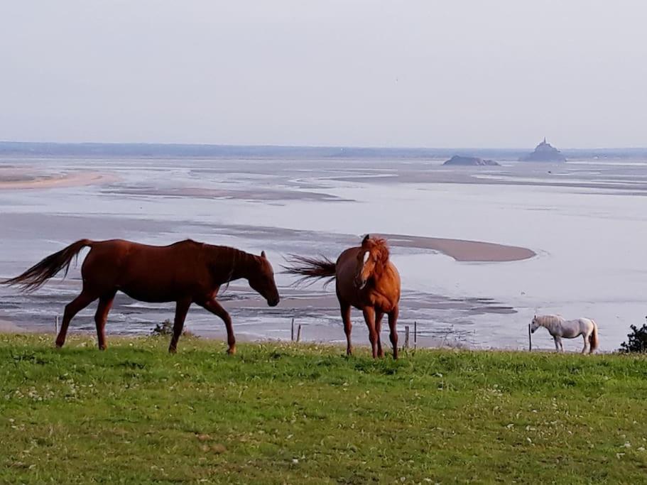 Maison Vue Sur Le Mont Saint Michel Et Sa Baie Champeaux Dış mekan fotoğraf